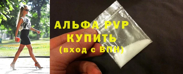 винт Вяземский