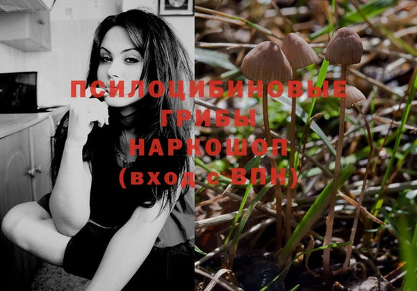 дживик Володарск