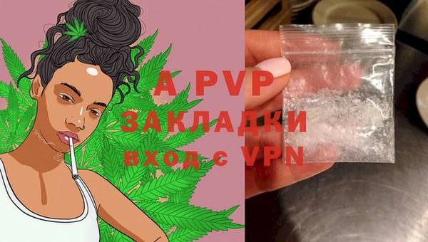 ECSTASY Волосово